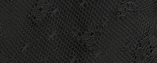 滿版蕾絲迷你連身裙