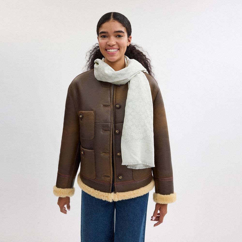 經典 SIGNATURE 金屬風長方形圍巾