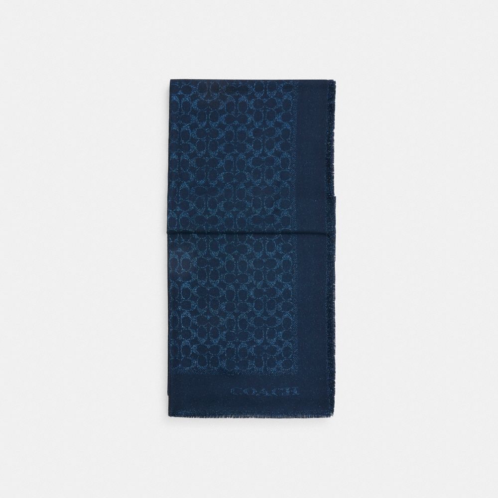 經典 SIGNATURE 金屬風長方形圍巾