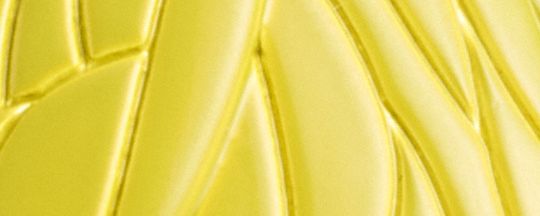 蒼蠅恐龍不對稱胸針組