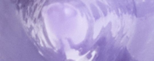 恐龍不對稱耳環