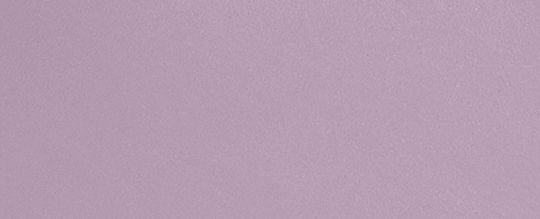 BOROUGH 保齡球手袋