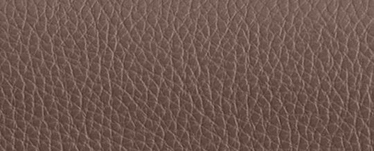 【線上限定】CASSIE 19 斜背手袋