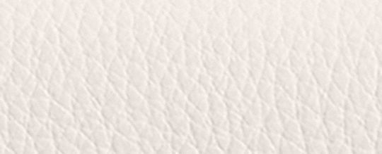 【線上限定】CASSIE 19 斜背手袋