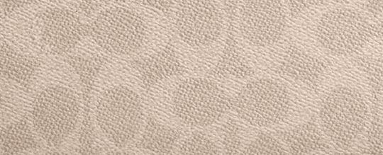 ROWAN SATCHEL BAG IN SIGNATURE CANVAS