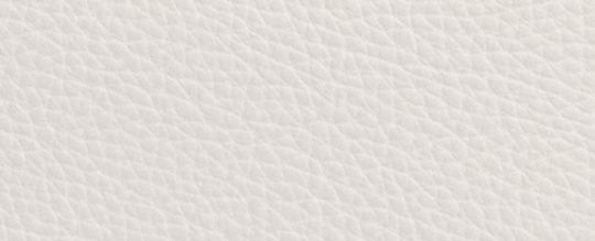 HADLEY 多用途斜背手袋