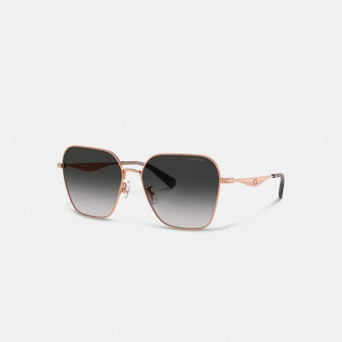 PILLOW TABBY METAL HEXAGON SUNGLASSES