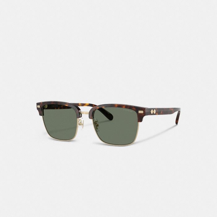 ROGUE RETRO SUNGLASSES