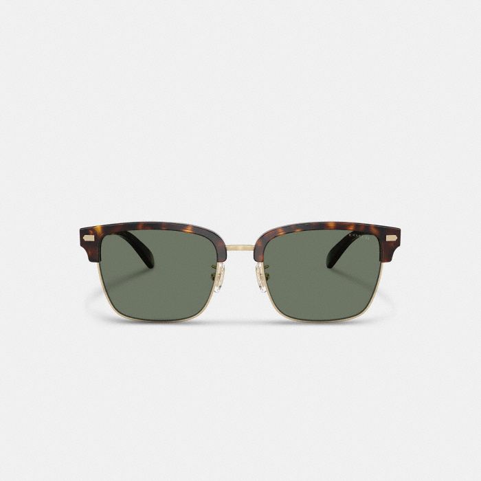 ROGUE RETRO SUNGLASSES