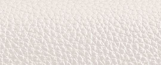 CASSIE 17 斜背手袋