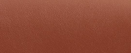 CASSIE 17 經典 SIGNATURE 帆布斜背手袋