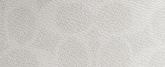 WILLOW 19 經典 SIGNATURE 帆布柔軟水桶包