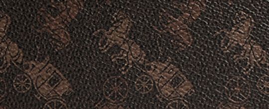 HITCH CONVERTIBLE CROSSBODY WITH HYBRID POUCH IN HORSE AND CARRIAGE PRINT