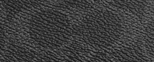 MONEY CLIP CARD CASE IN SIGNATURE CANVAS