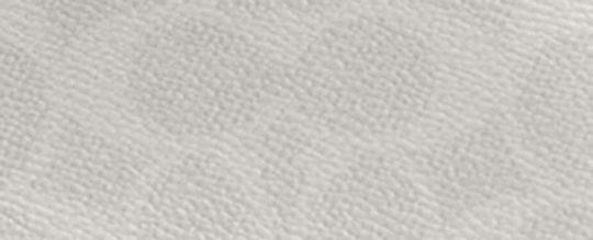WILLOW 經典 SIGNATURE 帆布柔軟水桶包