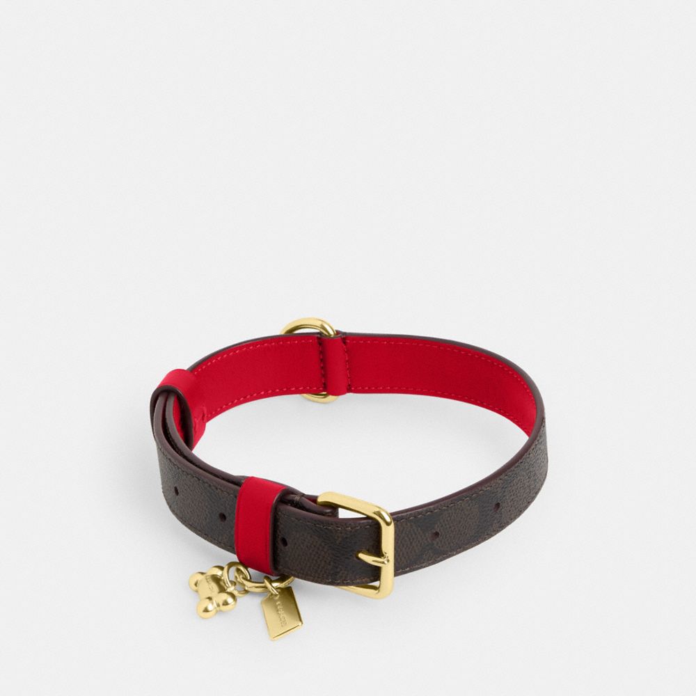 COACH CX156 Boxed Large Pet Collar In Signature Canvas GOLD/WALNUT/BOLD RED
