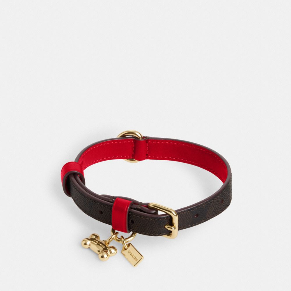 COACH CX158 Boxed Small Pet Collar In Signature Canvas GOLD/WALNUT/BOLD RED