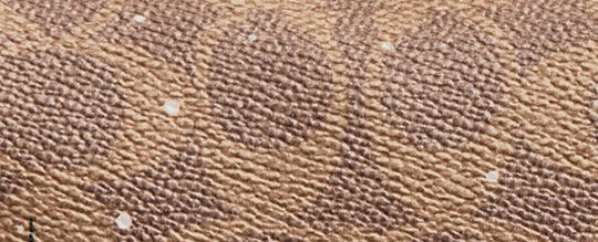 節慶風格 REXY 恐龍與雪人經典 SIGNATURE 帆布基本款化妝包