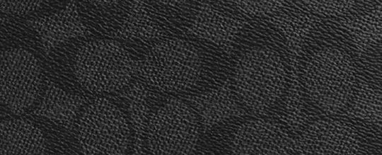 CARRY ALL POUCH IN SIGNATURE CANVAS