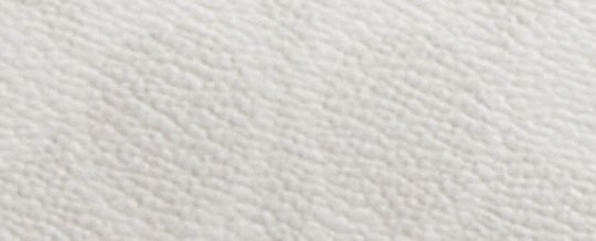 LEAGUE 19 經典 SIGNATURE 帆布斜背手袋