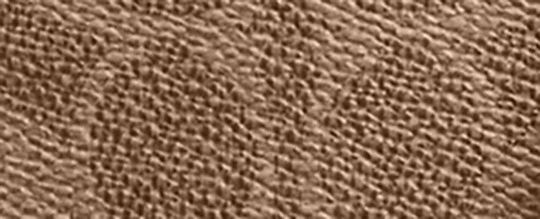 RELAY 17 經典 SIGNATURE 帆布與 COACH 圖樣托特手袋