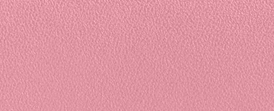 DINKY BAG 14-B4/TRUE PINK