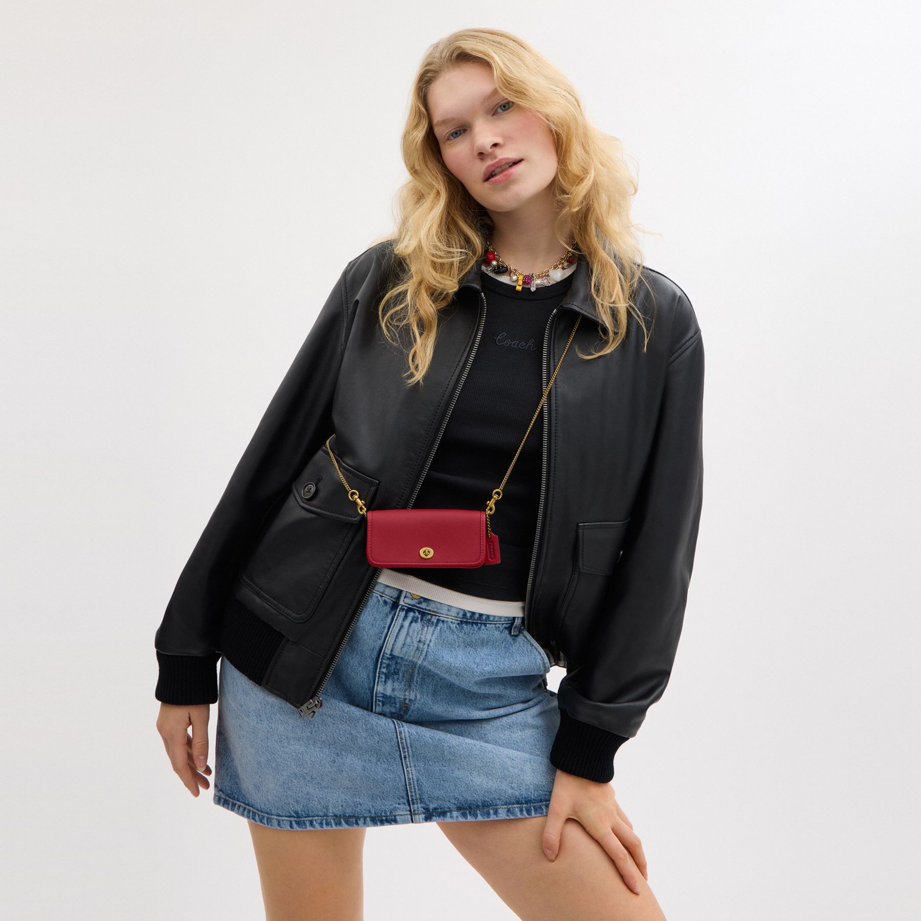 マイクロミニ【COACH】Dinky 14 チェーンバッグ CZ108 公式】COACH – コーチ | ディンキー バッグ 14