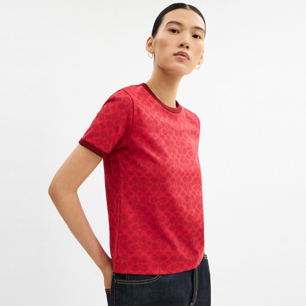 SIGNATURE RINGER T-SHIRT IN ORGANIC COTTON