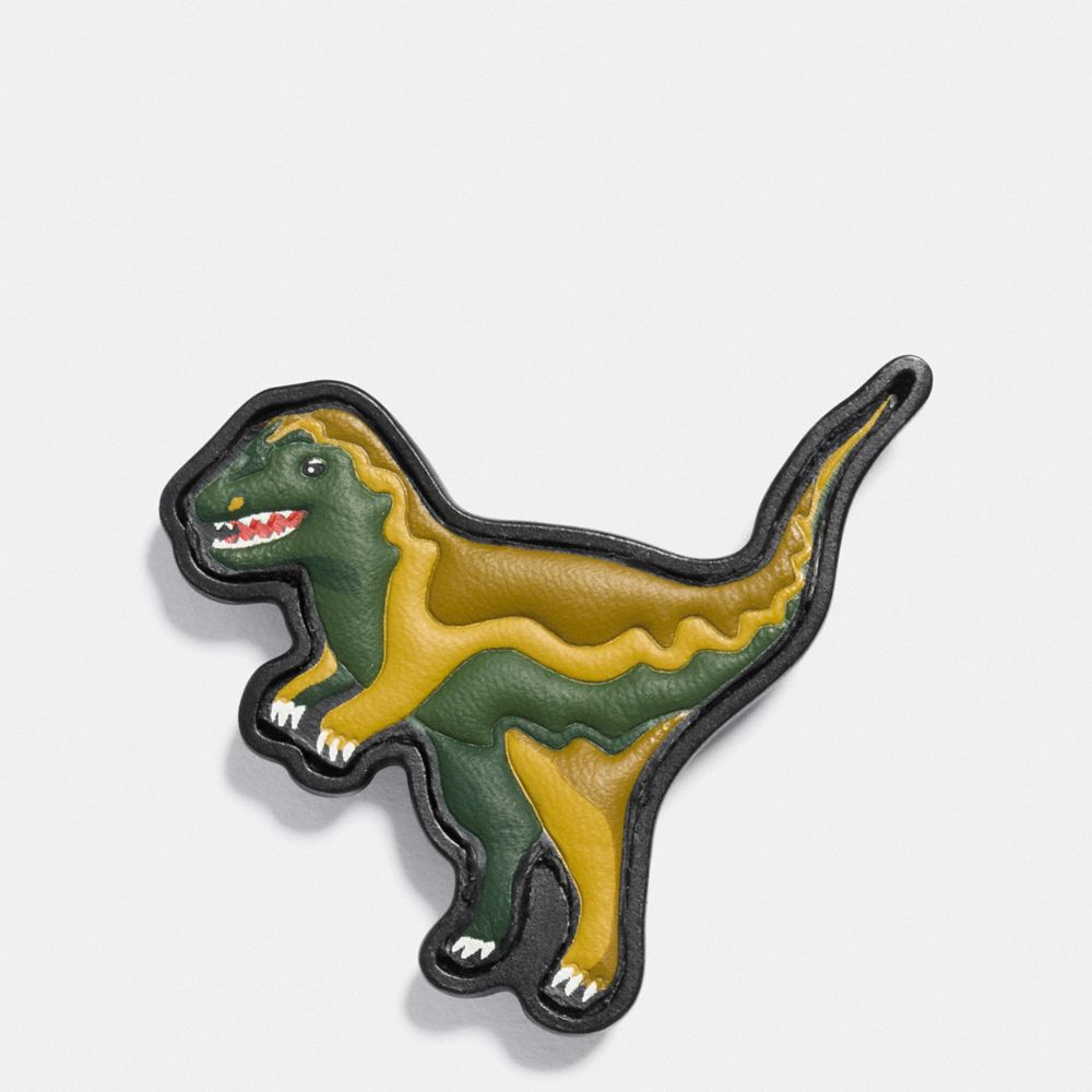 PAINT BY NUMBERS REXY PIN - MULTI - COACH F10644