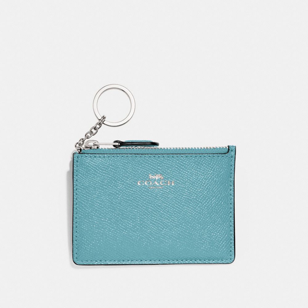 MINI SKINNY ID CASE - CLOUD/SILVER - COACH F12186