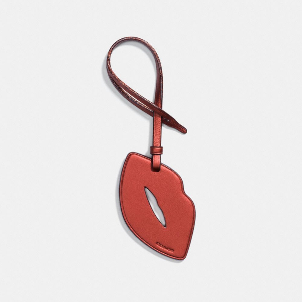 LIP ORNAMENT - COACH F23556 - METALLIC BRICK