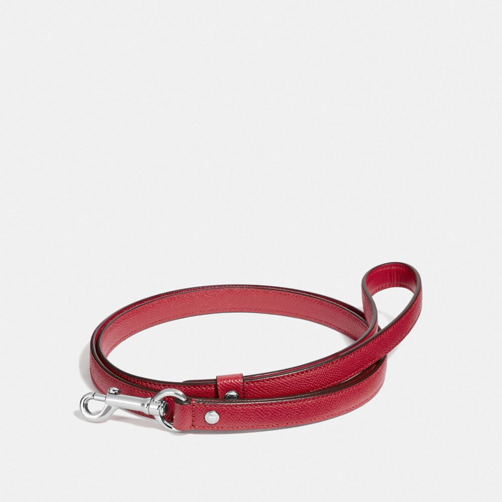 COACH F26178 Small Pet Leash SILVER/RED