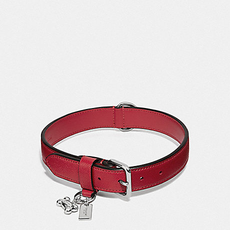 COACH F26904 LARGE PET COLLAR SILVER/RED