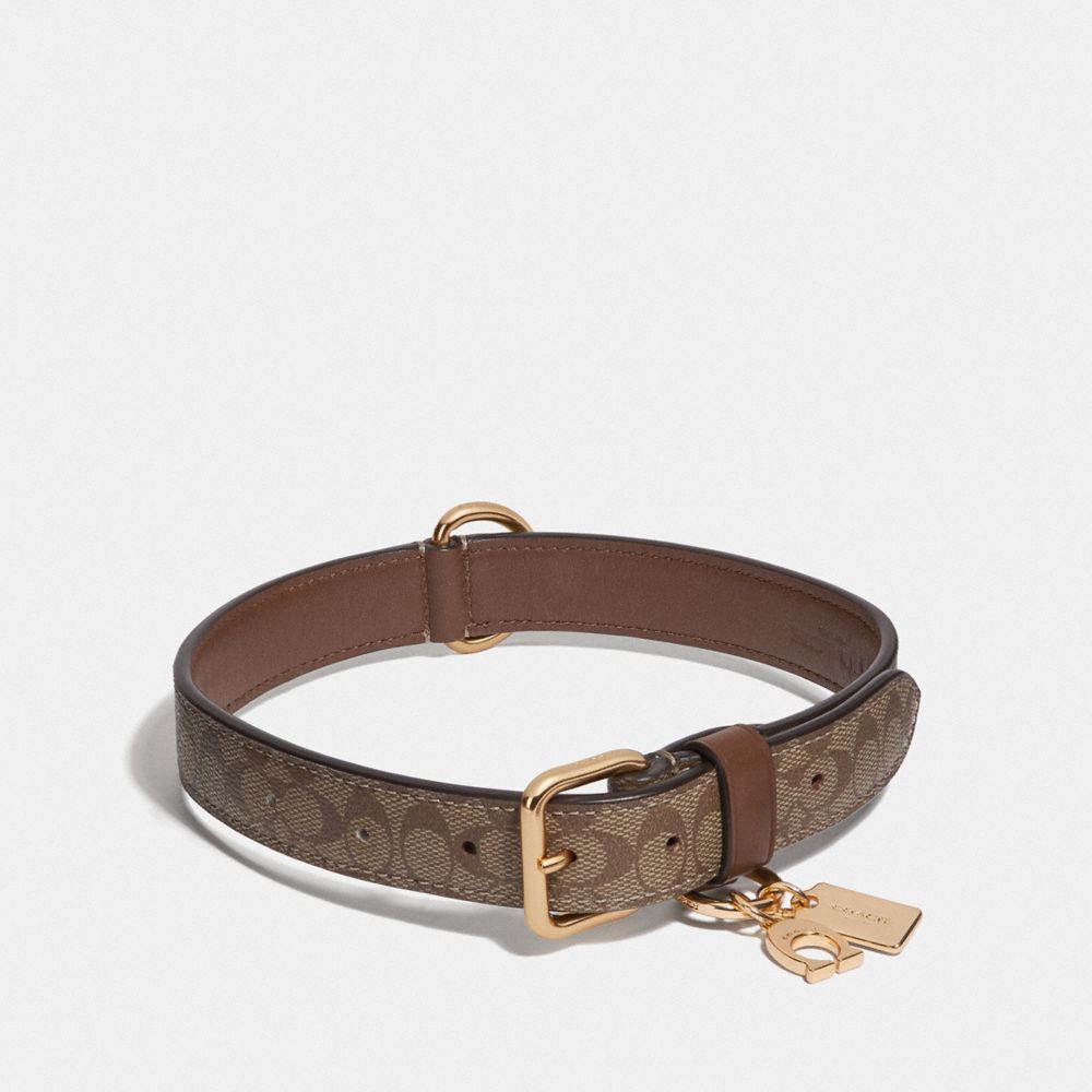 COACH LARGE PET COLLAR IN SIGNATURE CROSSGRAIN LEATHER - GOLD/KHAKI SADDLE - F26907