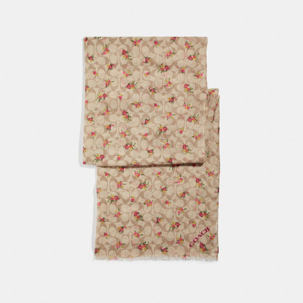 SIGNATURE DAISY BUNDLE PRINT OBLONG - f28815 - IVORY