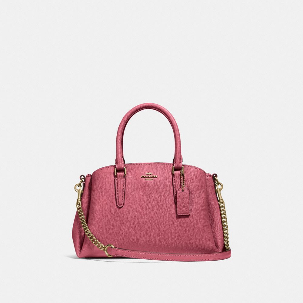 MINI SAGE CARRYALL - ROUGE/GOLD - COACH F28977