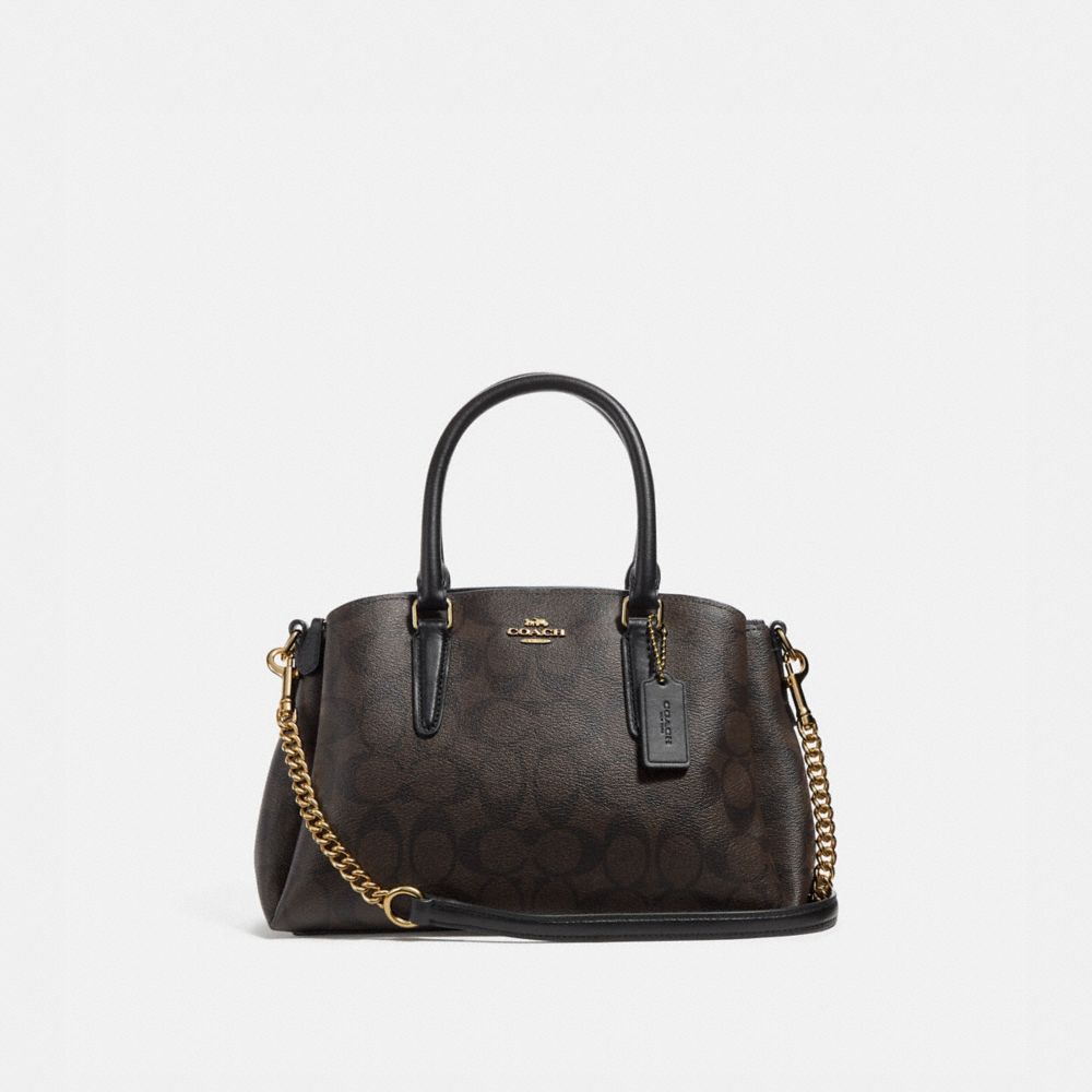 Coach discount sage mini