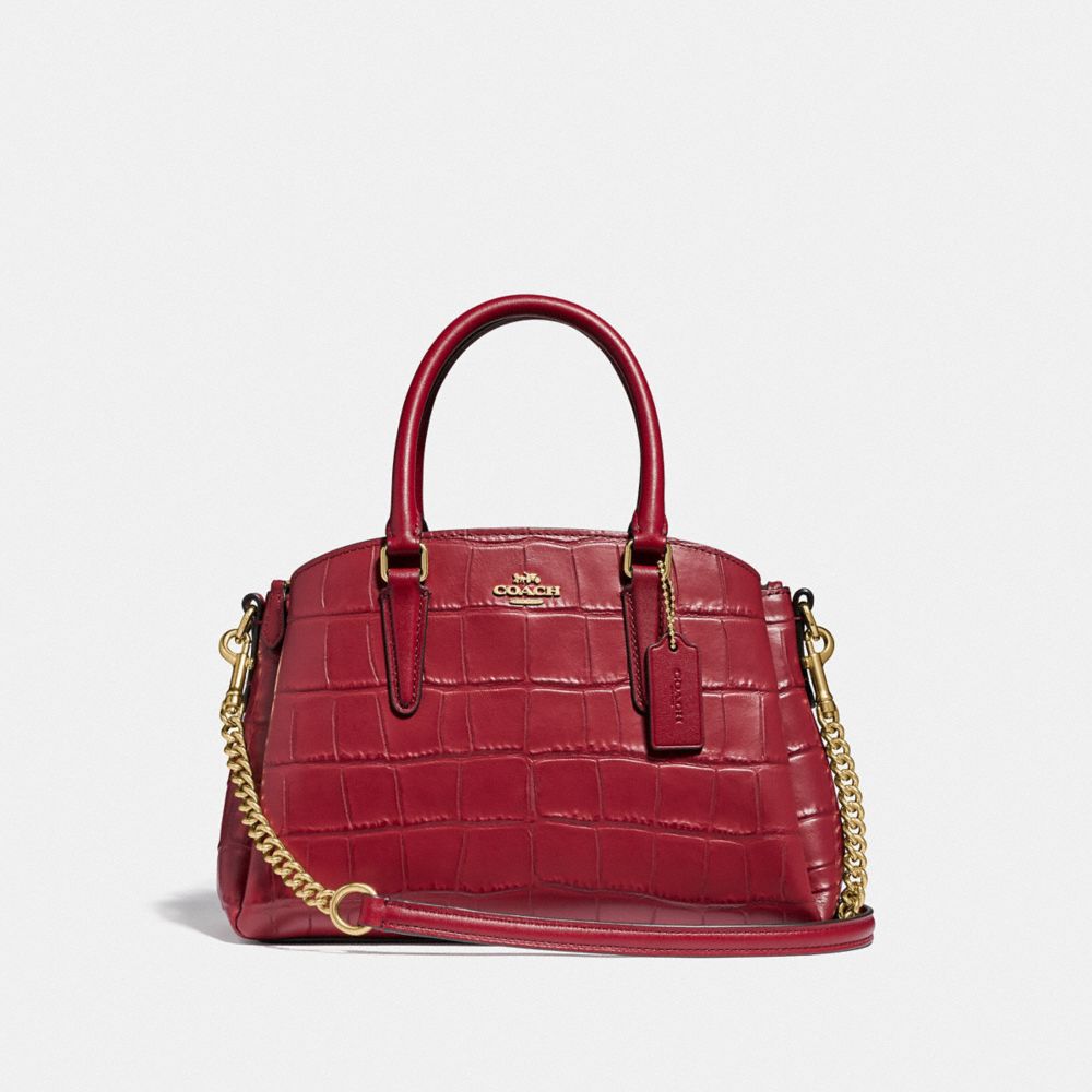 MINI SAGE CARRYALL - CHERRY /LIGHT GOLD - COACH F31438