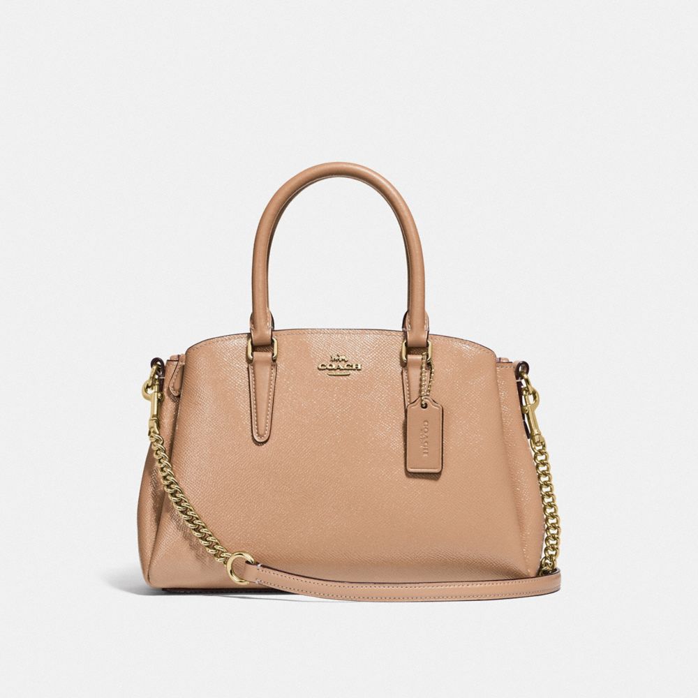 MINI SAGE CARRYALL - BEECHWOOD/LIGHT GOLD - COACH F32018