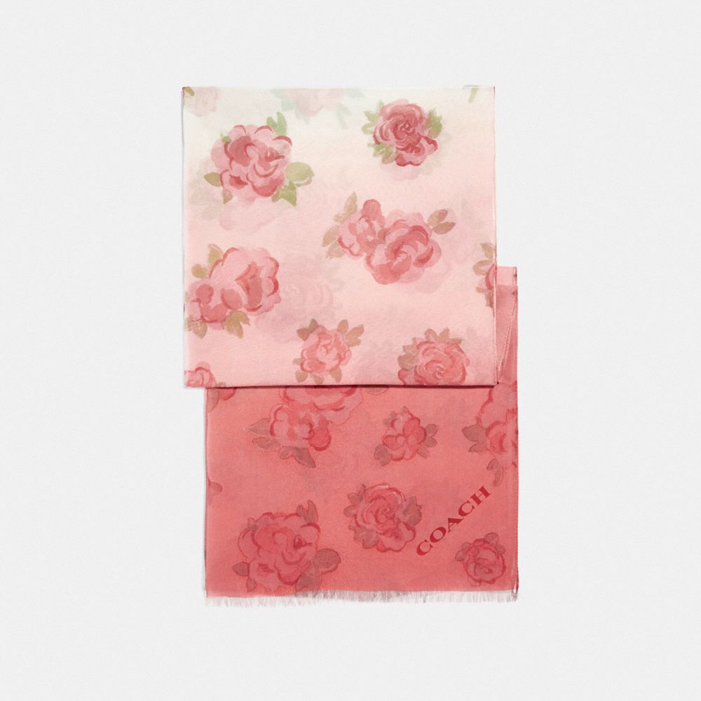COACH F41413 Ombre Jumbo Floral Print Silk Oblong Scarf CHALK