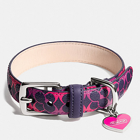 COACH F67599 - WAVERLY SIGNATURE PET COLLAR - SILVER/NAVY/PINK | COACH ACCESSORIES
