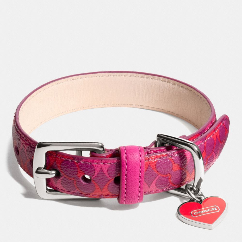 COACH F67599 WAVERLY SIGNATURE PET COLLAR SILVER/MAGENTA