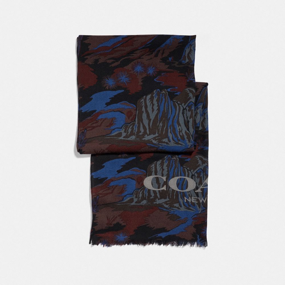 LANDSCAPE PRINT SCARF - F76062 - BLUE LANDSCAPE