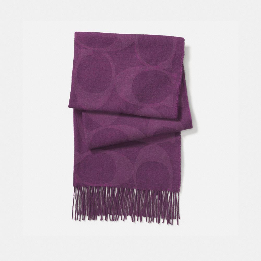 SIGNATURE C MUFFLER - f77673 - AUBERGINE