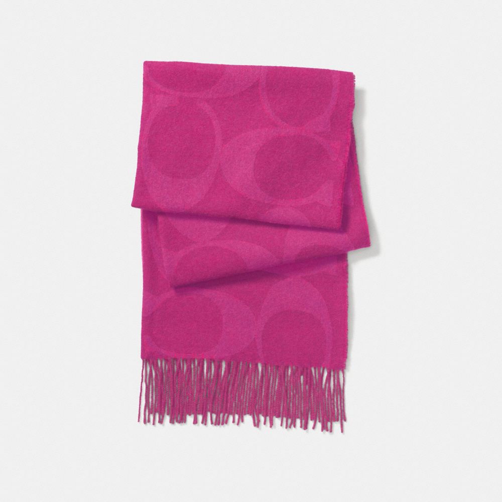 SIGNATURE MUFFLER - FUCHSIA - COACH F77673