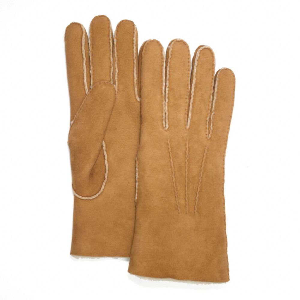 COACH F82868 SHEARLING GLOVE NATURAL