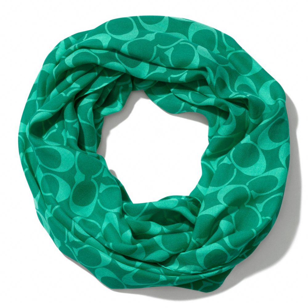 PARK SATURATED SIGNATURE INFINITY - f83680 - BRIGHT JADE