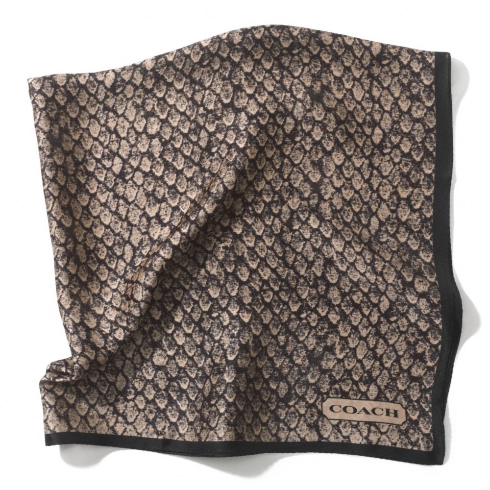 COACH TAYLOR SNAKE PRINT 27x27 SCARF - ONE COLOR - F83981