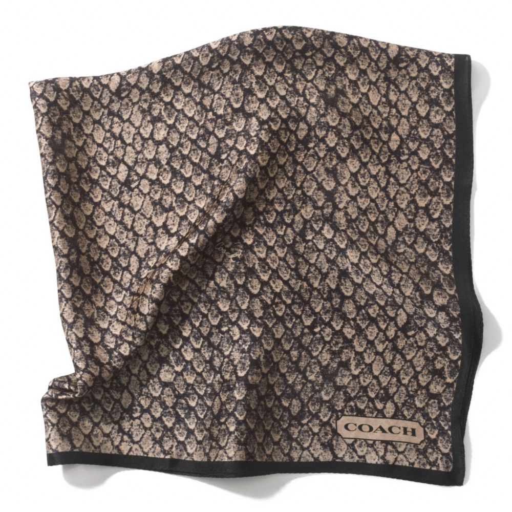 COACH TAYLOR SNAKE PRINT 27x27 SCARF -  - f83981