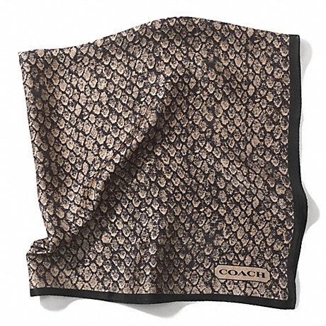 COACH F83981 TAYLOR SNAKE PRINT 27x27 SCARF ONE-COLOR